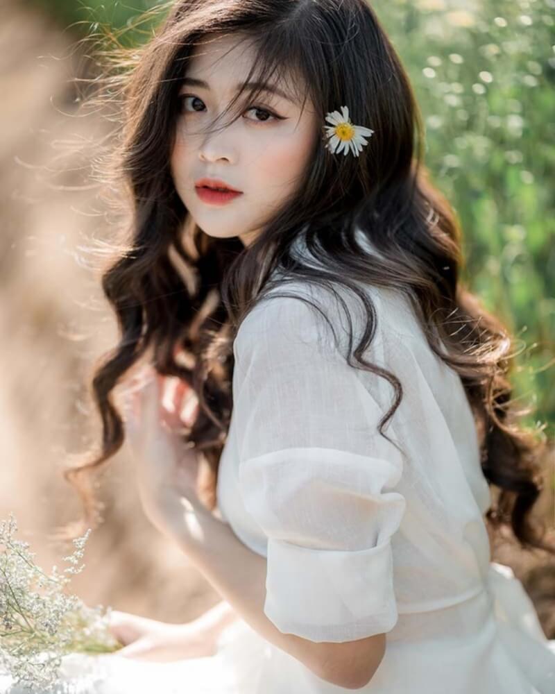 Ảnh gái xinh cute ở vườn hoa cúc họa mi