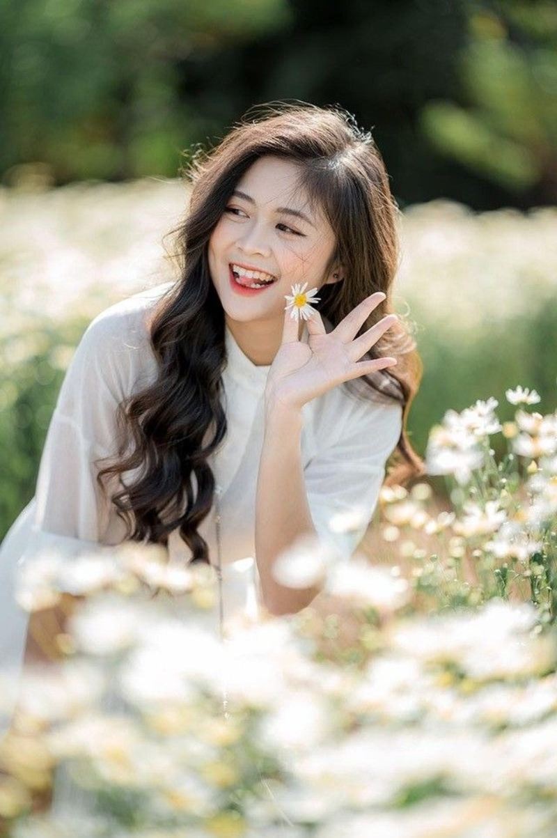 Gái xinh áo dài trắng ở vườn hoa cúc họa mi