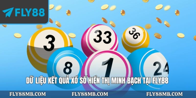 Dữ liệu kết quả xổ số hiển thị minh bạch tại Fly88